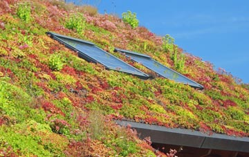 Cannock living roof systems